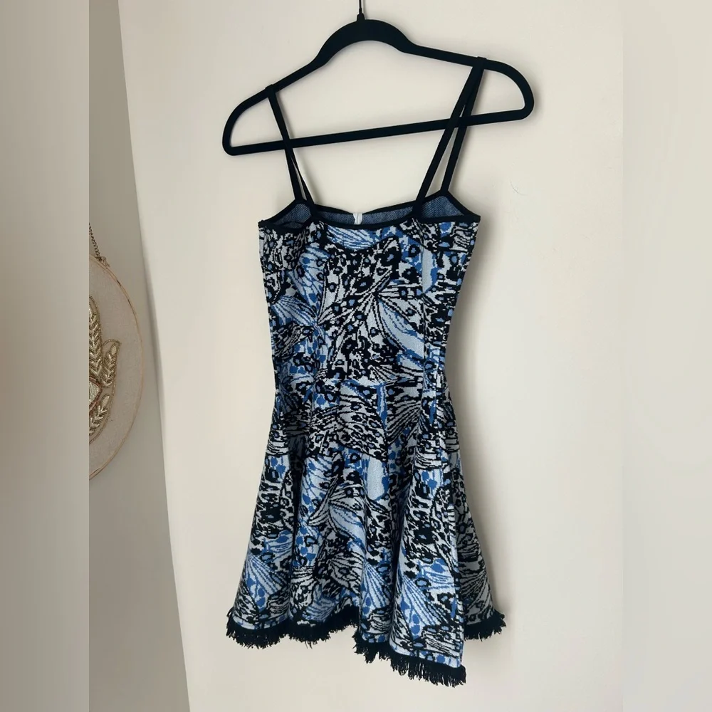 Viral Torn by Ronny Kobo Blue Butterfly Patterned Stretchy Flare Mini Dress - Picture 4 of 4